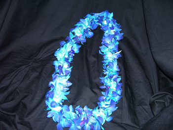 Bom Royal Blue Orchids - Leis