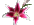 cheap wholesale flowers logo