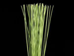 Flexi Grass Australia